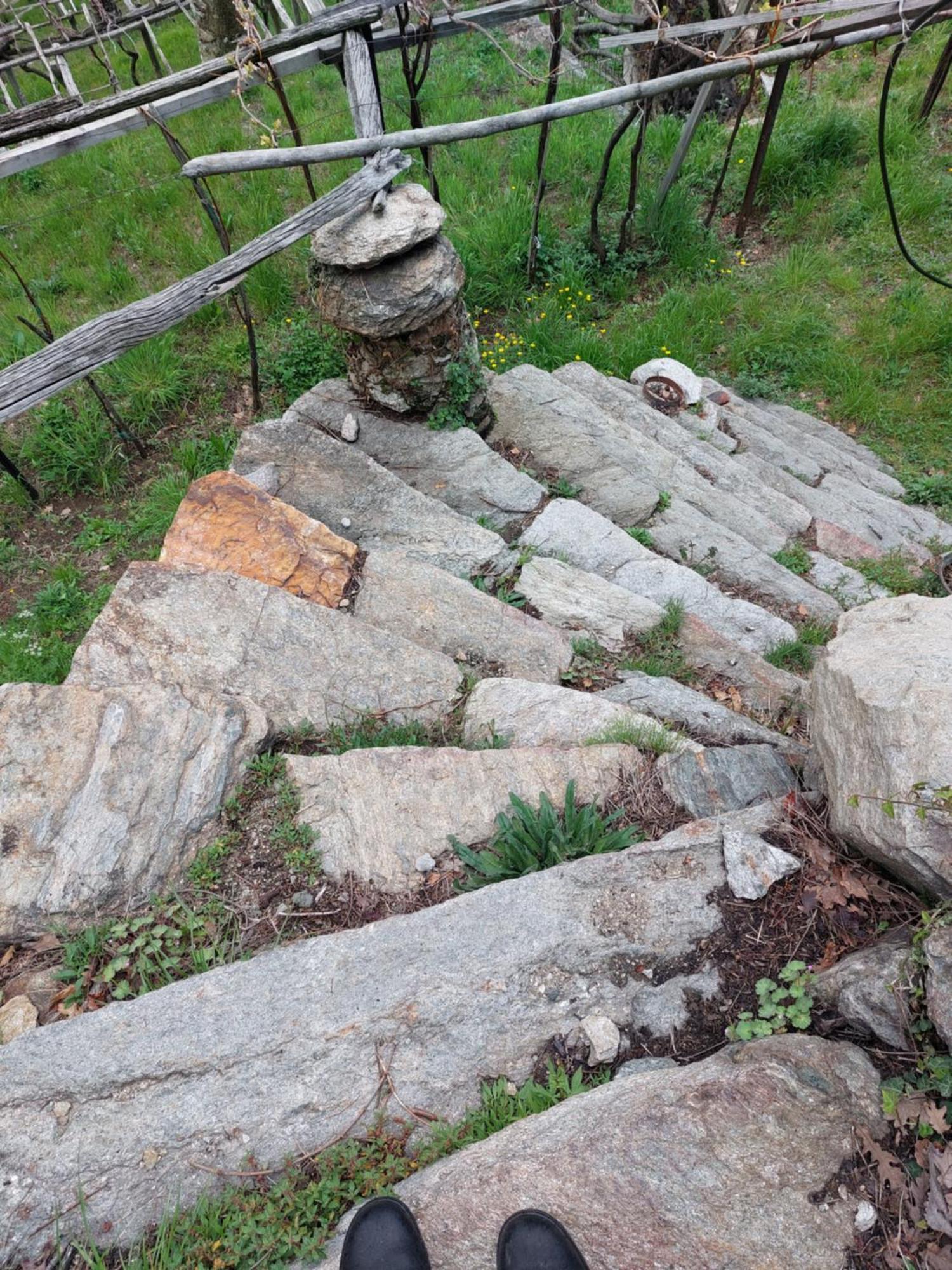 Relais Del Brigante Panzió Settimo Vittone Kültér fotó
