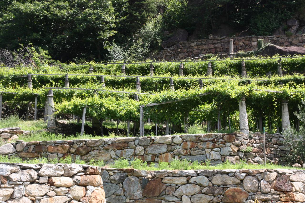 Relais Del Brigante Panzió Settimo Vittone Kültér fotó